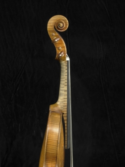 Neck detail