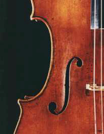 Close-up of the Servais